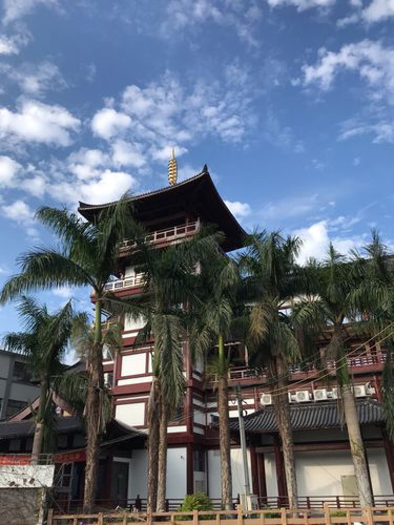货物代理