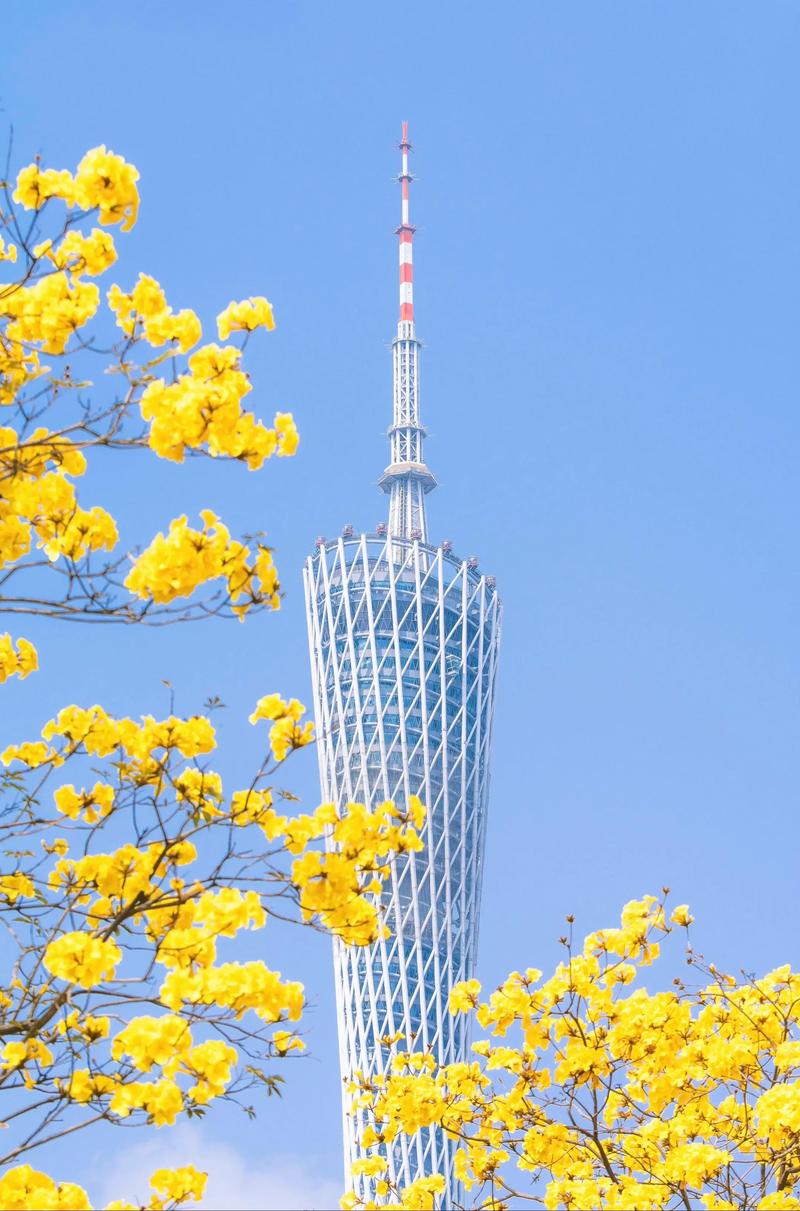 出口报关基础知识速成指南